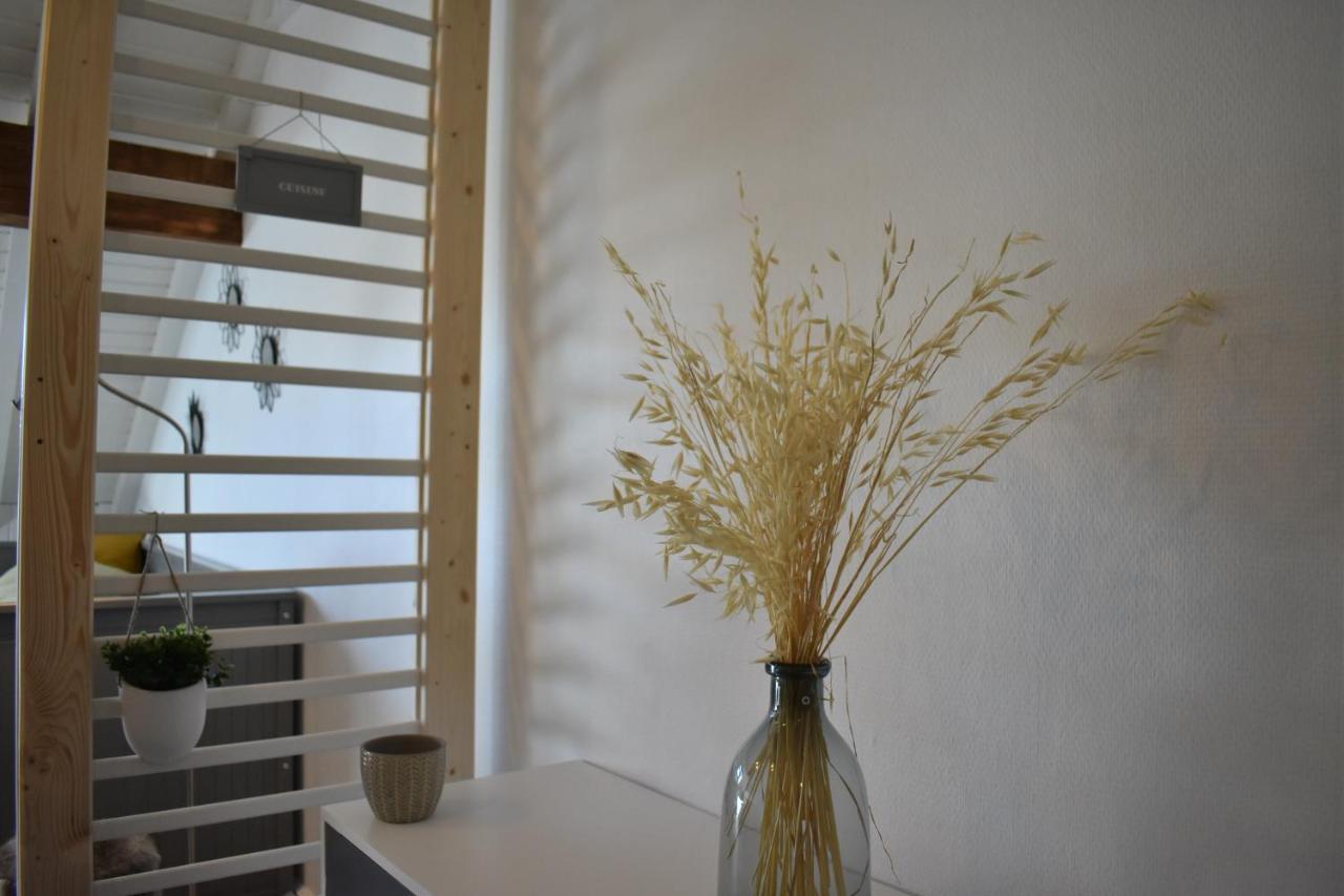 Charmant Studio, Le Petit Gris Des Montagnes Mouthe Buitenkant foto
